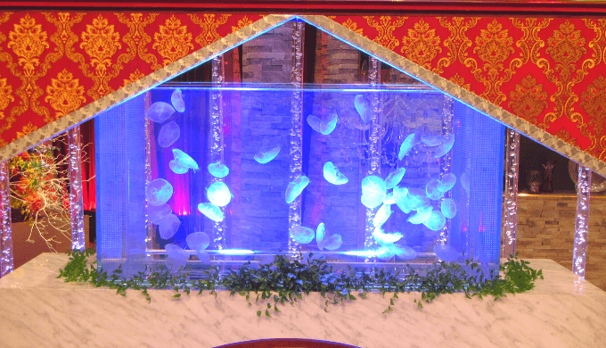 16年12月12日 テレビ東京 華麗なる雑談 クラゲ水槽一式 有 エイチ ツー