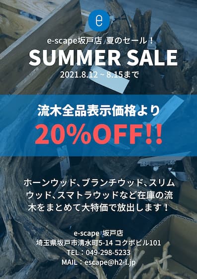 流木20％OFF