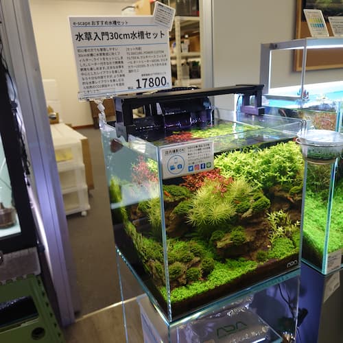 水草入門30cm水槽セット