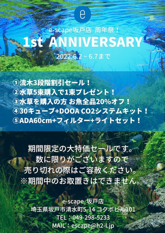 1周年祭