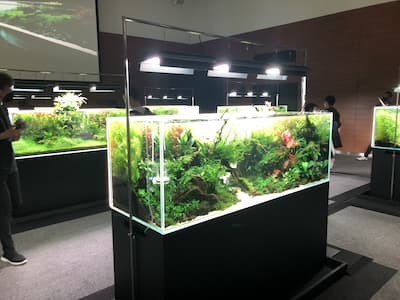 NATURE AQUARIUM EXHIBITION 2022 OSAKA　180㎝水槽