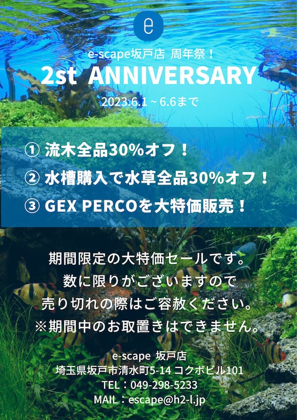 イースケイプ坂戸店2周年記念セール