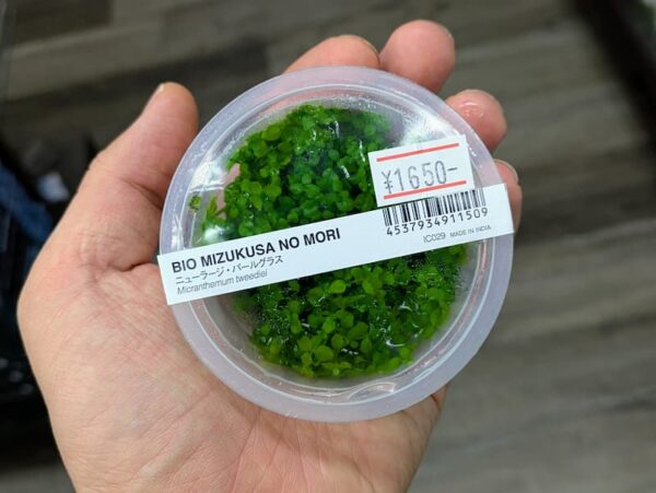 ADA BIOみずくさの森
