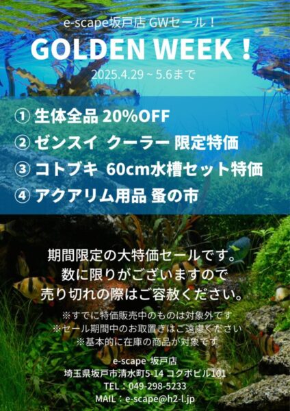 e-scape坂戸店】2026GWセール！ ー4月29日～5月6日までー | （有 
