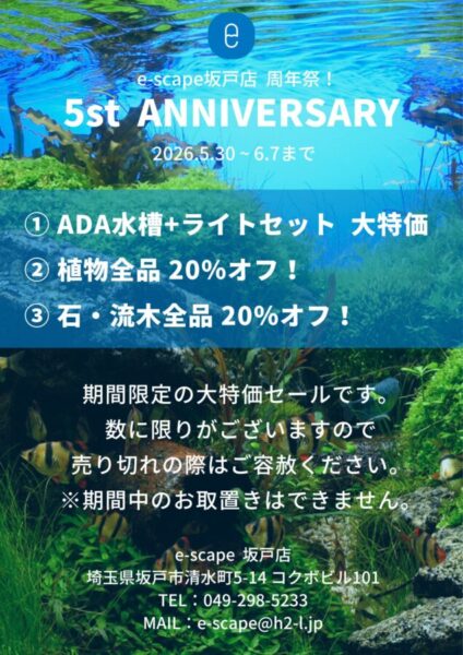 周年祭